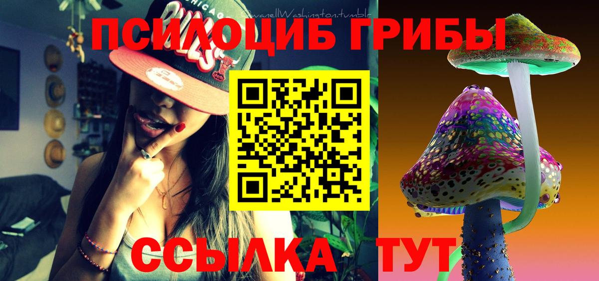 Сальск  Галлюциногенные грибы Magic Shrooms  Вход с VPN 